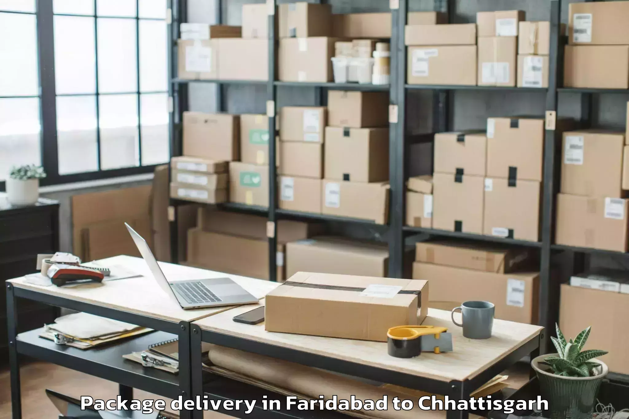 Professional Faridabad to Op Jindal University Raigarh Package Delivery